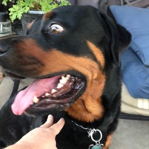 Meet your Posher, Vanessa